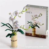  Mô Hình Nhựa 3D Lắp Ráp QiZhiLe Cây Chi Lan Hồ Điệp (588 mảnh, Orchid Phalaenopsis) 92000 – LG0101 