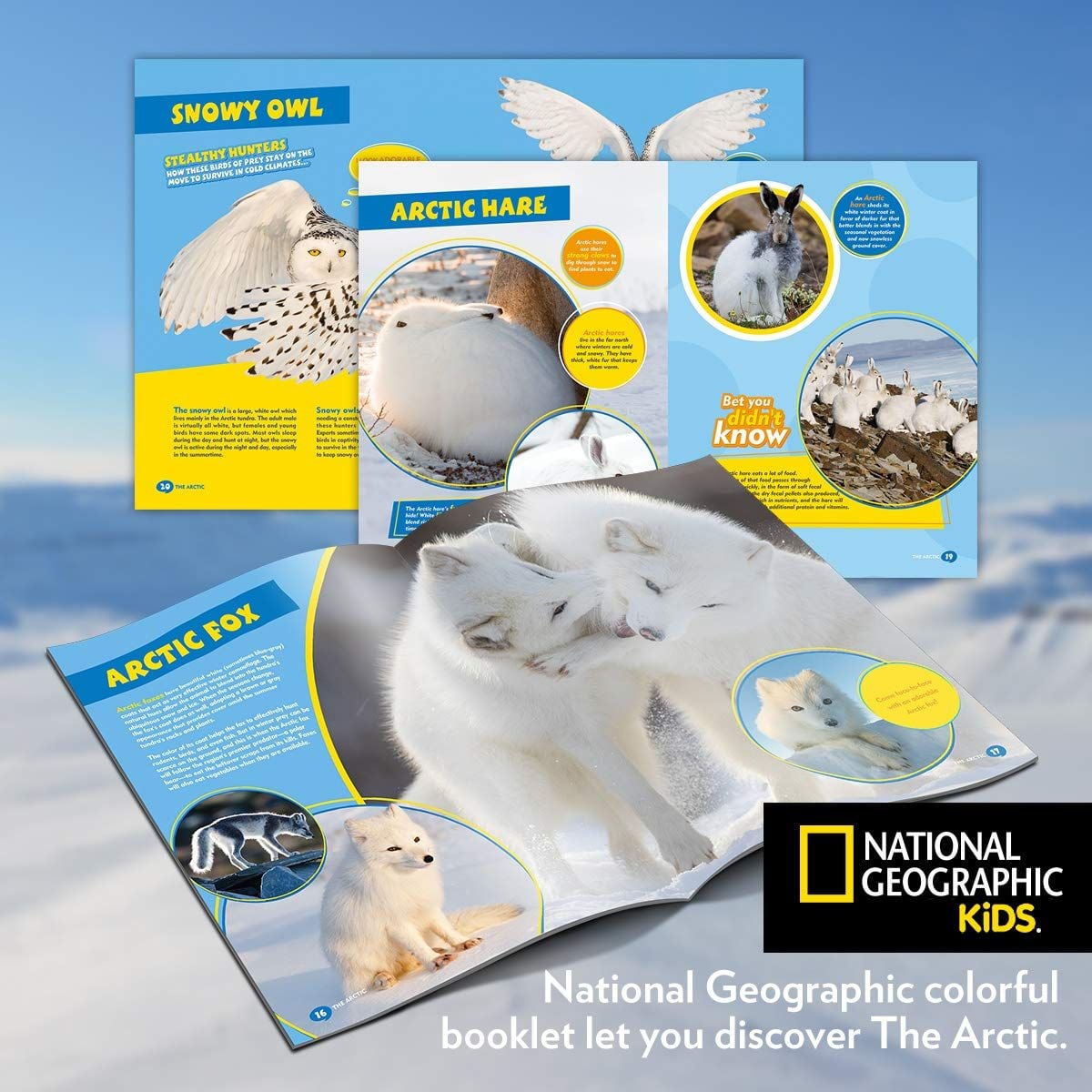  Mô Hình Giấy 3D Lắp Ráp CubicFun Thế Giới Bắc Cực (73 mảnh, National Geographic Arctic) DS0983h - PP056 