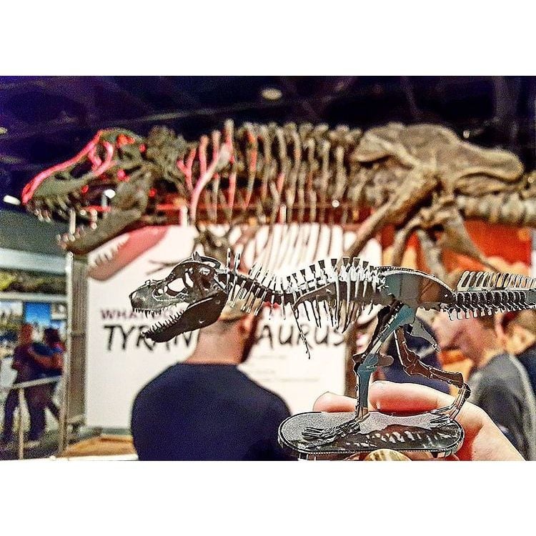  Mô Hình Kim Loại Lắp Ráp 3D Metal Mosaic Bộ Xương Khủng Long Tyrannosaurus Rex Skeleton – MP724 
