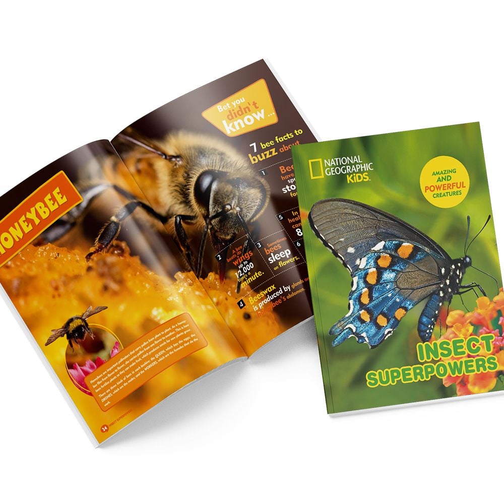  Mô Hình Giấy 3D Lắp Ráp CubicFun Sức Mạnh Của Côn Trùng (55 mảnh, National Geographic Insect Superpowers) DS0982 - PP055 