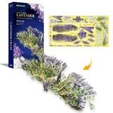  Mô Hình Kim Loại 3D Lắp Ráp Piececool Thiên Ngữ Hạc Hoa Oải Hương (38 mảnh, Lavender) HP203-NW - MP1116 