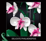  Mô Hình Nhựa 3D Lắp Ráp OEM Chậu Hoa Lan (711 mảnh, Orchid Flower) 10113 - LG0160 