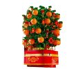 Mô Hình Nhựa 3D Lắp Ráp OEM Cây Quất Cầu Lộc Năm Mới (666 mảnh, có đèn LED, có nhạc, Kumquat Tree) 601145 - LG0138
