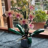  Mô Hình Nhựa 3D Lắp Ráp OEM Chậu Hoa Lan 10113 (711 mảnh, Orchid Flower) - LG0160 