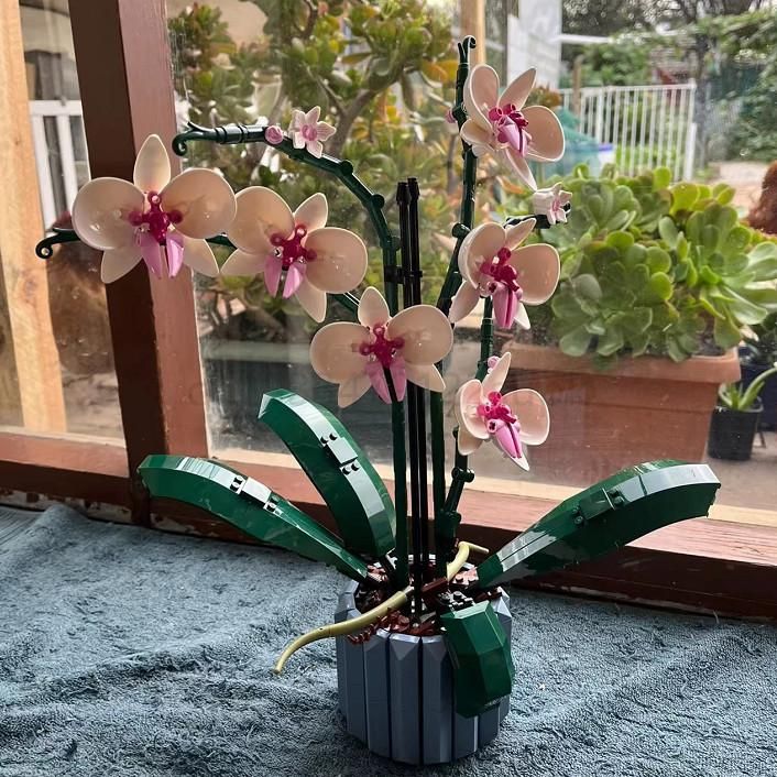  Mô Hình Nhựa 3D Lắp Ráp OEM Chậu Hoa Lan 10113 (711 mảnh, Orchid Flower) - LG0160 