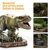  Mô Hình Giấy 3D Lắp Ráp CubicFun Tyrannosaurus REX (52 mảnh, dinosaur) DS1051h  - PP013 