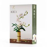  Mô Hình Nhựa 3D Lắp Ráp QiZhiLe Cây Chi Lan Hồ Điệp (588 mảnh, Orchid Phalaenopsis) 92000 – LG0101 