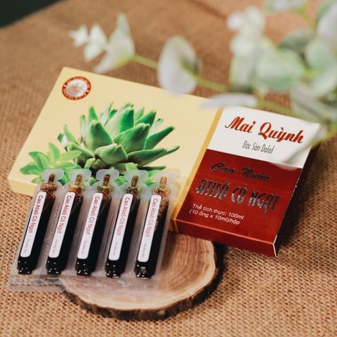  Cao atiso co ngot ( ông ) 