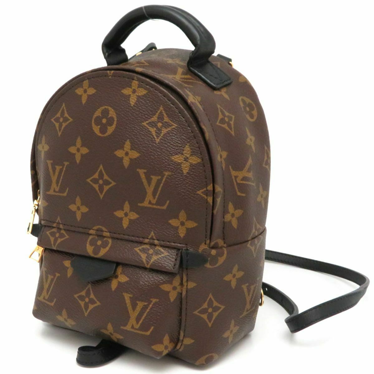  LOUIS VUITTON Palm Springs Mini Backpack 