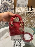  Lady Dior Micro Bag ( túi Dior ) 