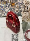  Lady Dior Micro Bag ( túi Dior ) 