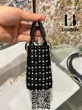  Lady Dior Micro Bag ( túi Dior ) 