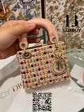  Lady Dior Micro Bag ( túi Dior ) 