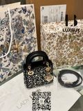  Lady Dior Micro Bag ( túi Dior ) 