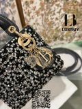  Lady Dior Micro Bag ( túi Dior ) 