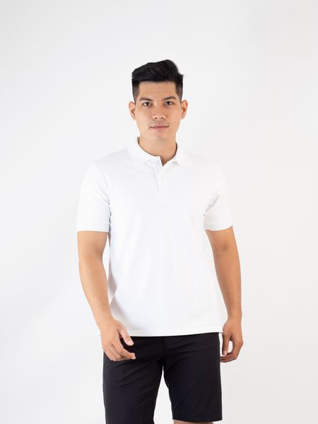 Áo polo nam Pique Cotton Reeta A2105