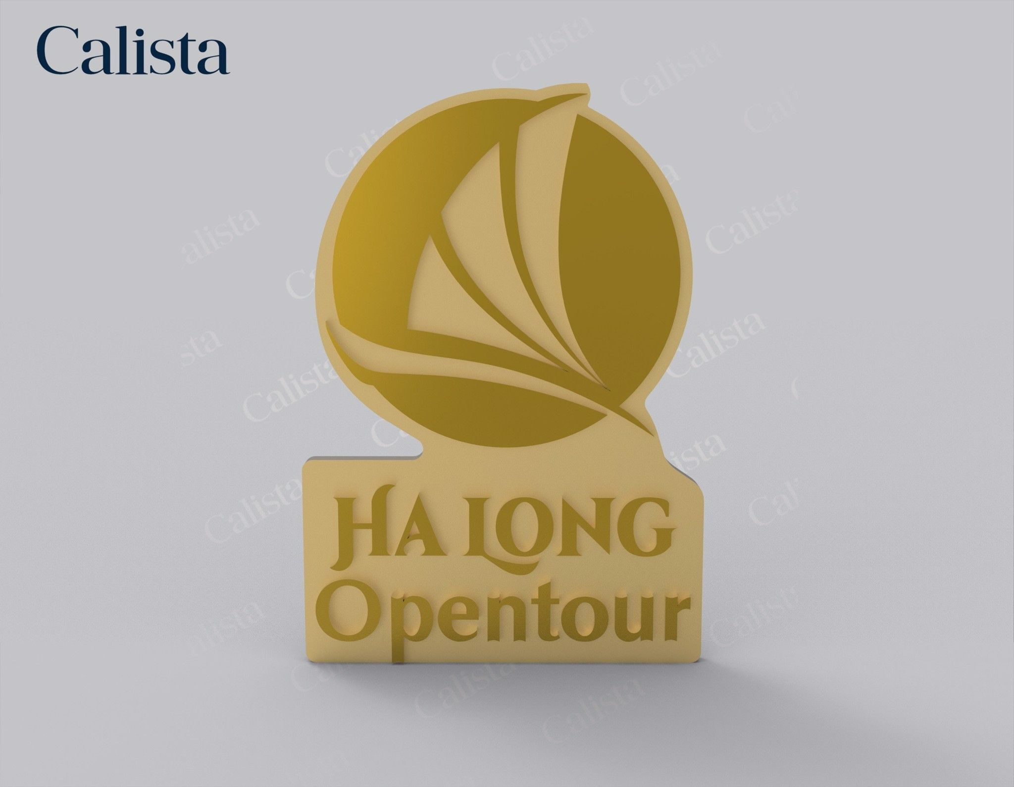  Pin/Huy hiệu cài áo mạ vàng logo doanh nghiệp Hạ Long Opentour 