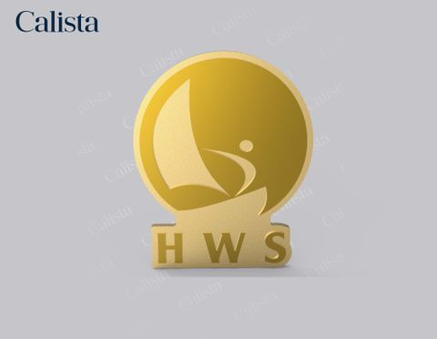 Pin/Huy hiệu cài áo mạ vàng logo doanh nghiệp HWS