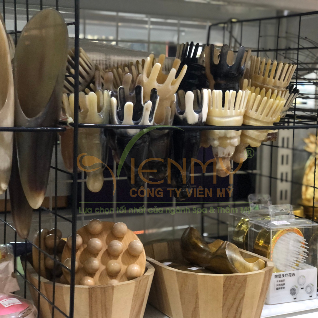  Lược sừng xoắn ốc 