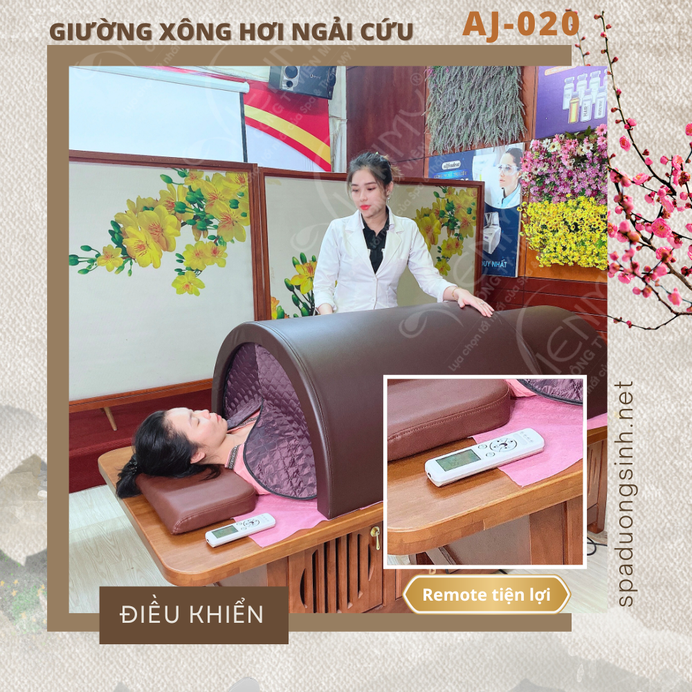  Giường xông ngải cứu AJ-020 
