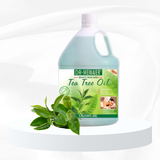  Dầu massage body Dr.Meinaier 3.8L 