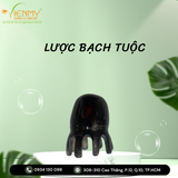  Bộ lược sừng massage đầu 