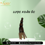  Bộ lược sừng massage đầu 