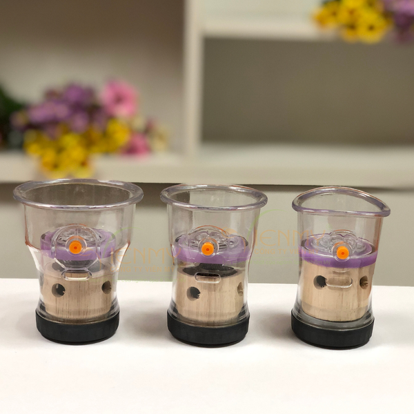  Bộ giác hơi ngải cứu cung đình 