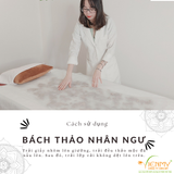  Bộ Bách Thảo Nhân Ngư 
