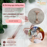  Bộ Đá hồng ngọc dưỡng nhan ZEN102 