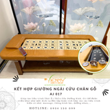  Bộ Thảo Dược Thái Ất Thần Cứu Dưỡng Sinh 