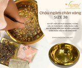  Chậu ngâm chân vàng size 38 