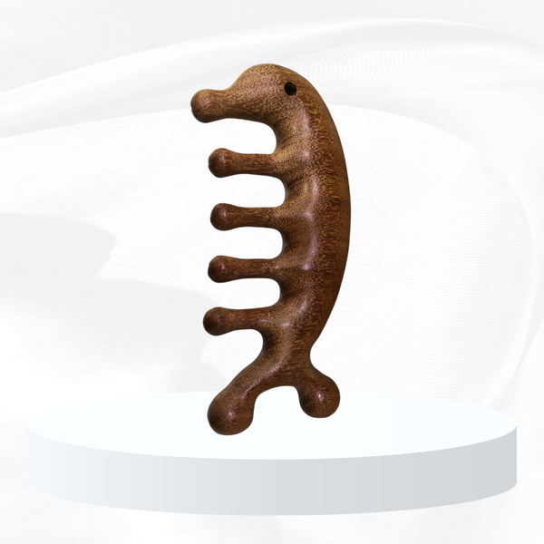  Lược gỗ hình cá heo LG005 