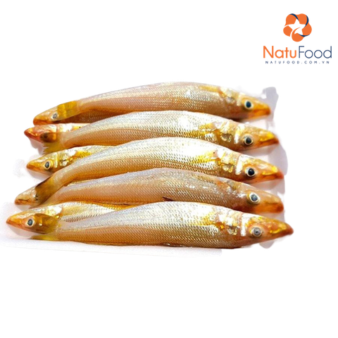 Cá Bống Vàng Phú Quốc (Loại 300g)