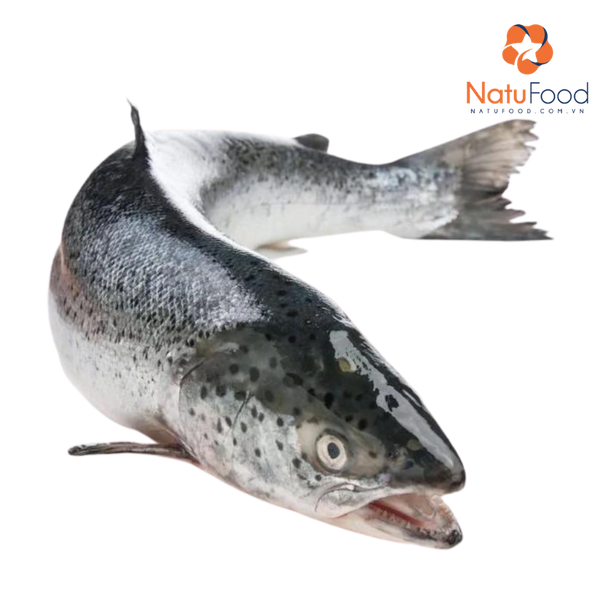 ca-hoi-nhap-khau-nguyen-con-loai-1kg