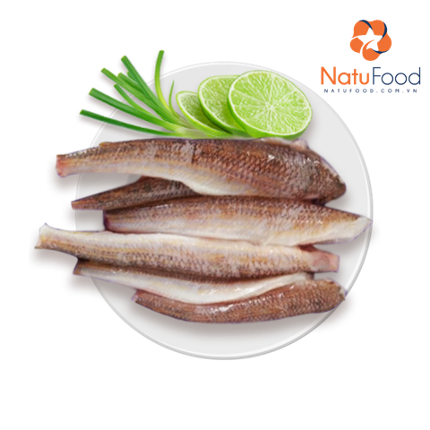 Cá Mối Biển (Loại 500g)