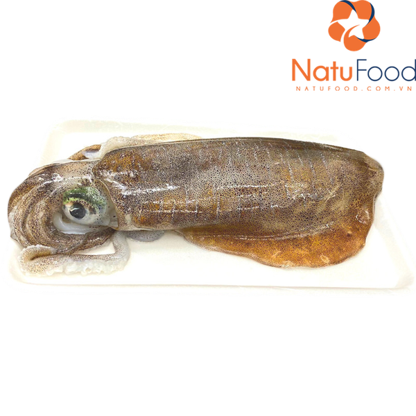 muc-la-phu-quy-size-30-up-size-lon