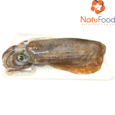 Mực lá Phú Quý  (Size 30 up, Size lớn)