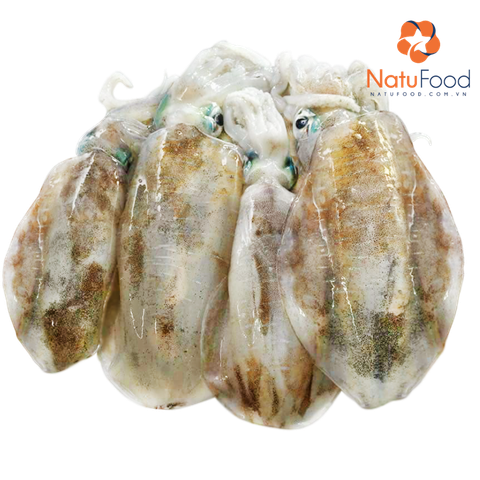 Mực Lá Phú Quốc Size 200-300g (khay 500g)