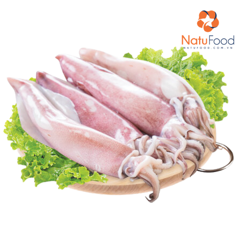 Mực Ống Quảng Ninh ( Khay 500g )