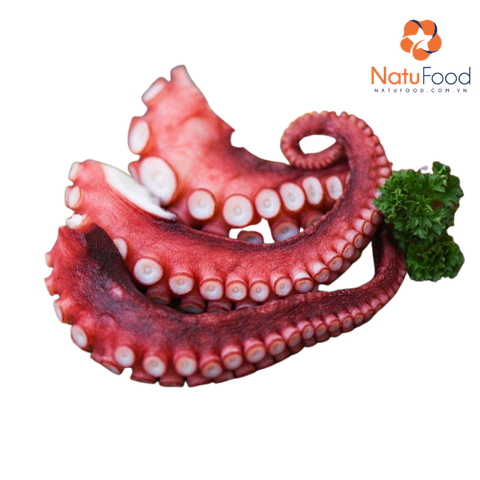 Râu Bạch Tuộc (Loại 300g)