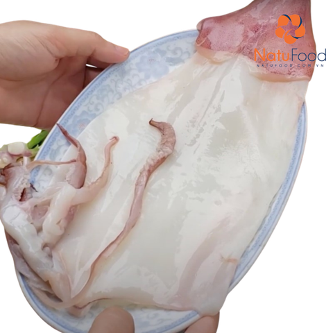 Mực ống một nắng Phan Thiết ( Size Trung ) ( Loại 2-4 Con/ 500g )