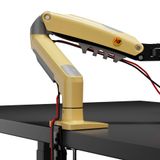  Giá treo màn hình North Bayou F80 - XD  - Vàng | 17 - 30 inch 