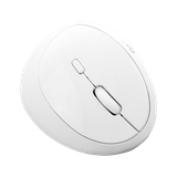  Chuột công thái học Dare-U LM158D - Trắng | Dual Mode: Wired + 2.4G 