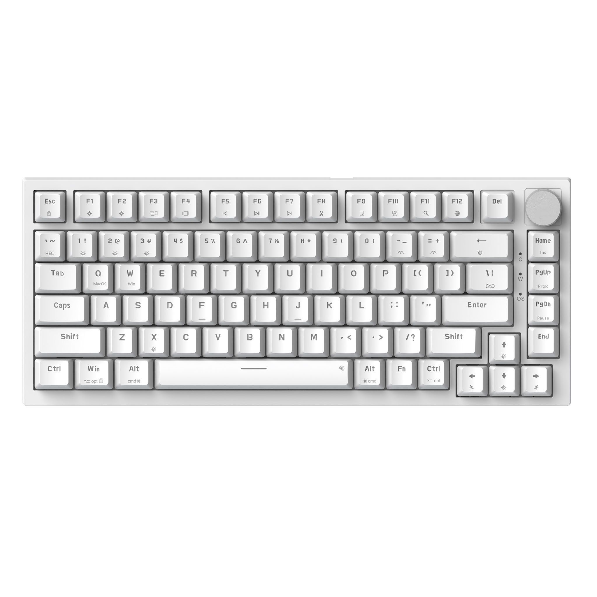 Bàn phím cơ Gaming Newmen GM326 - White | Brown Switch, Tenkeyless