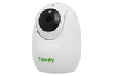  Camera WIFI TIANDY H322N 