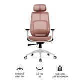  Ghế công thái học Ergonomic HyperWork Airy | Hồng 