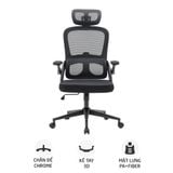  Ghế công thái học Ergonomic Sihoo M102C | Đen 