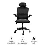  Ghế công thái học Ergonomic TMS09 | Đen 