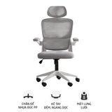  Ghế công thái học Ergonomic TMS09 | Xám 